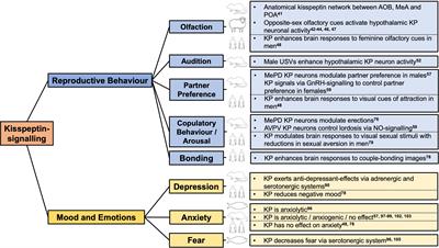 Current Perspectives on Kisspeptins Role in Behaviour